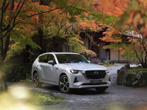 Supporting image for story: How can I get my car autumn ready?