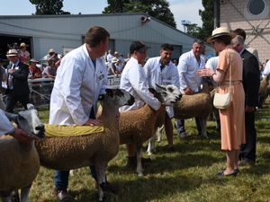 Supporting image for story: Curtain comes down on Royal Welsh Show after hugely successful year 