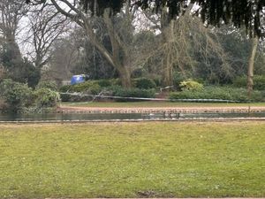 A murder investigation has been launched