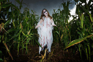 Supporting image for story: Top scare attractions this Halloween in the Midlands and Shropshire - WARNING: NOT FOR THE FAINT-HEARTED