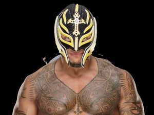 Supporting image for story: WWE Live, Arena Birmingham - review