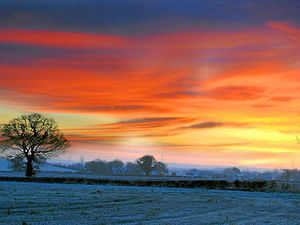 Supporting image for story: Stunning sunrise captured on a winter wonderland