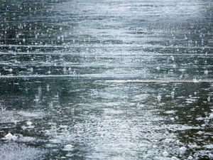 Supporting image for story: Why did everyone begin talking about ‘petrichor’ when it started to rain?