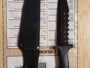 Supporting image for story: Stolen car recovered and weapons seized in Oldbury