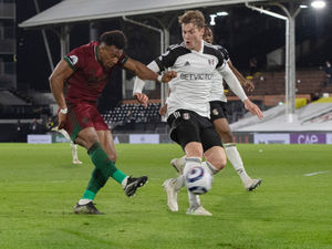 Supporting image for story: Wolves Fans' Verdict v Fulham: What a winner!