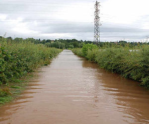 The quarter of a mile heading towards Eastham bridge. Photo: Frances Meier.