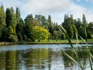 Supporting image for story: Developer reveals why house hunters are flocking to Staffordshire suburb