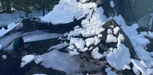 The damage caused by the storm (picture Cuan Wildlife Rescue)