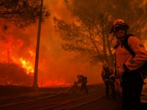 Supporting image for story: Hollywood cancels film premieres as firefighters battle ‘extreme’ wildfire