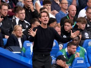 Supporting image for story: Tottenham recover from two behind to take a point from Brighton