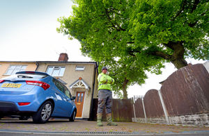 Stuart Ingram is dwarfed by the huge tree at the front of his property, which is one of the trees he says is causing damage