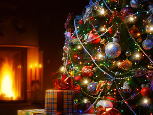 Supporting image for story: Search is on for best looking tree in Shrewsbury