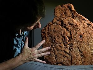 Supporting image for story: ‘Rare and exciting’: 4,000-year-old handprint found on Egyptian clay model