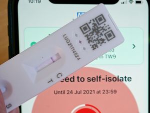 Supporting image for story: Lateral flow test kits unavailable on Government website