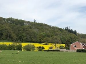 Supporting image for story: Plans for 22 homes in village approved after highways and privacy issues addressed