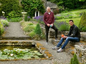 Supporting image for story: Stunning gardens and meadows opening this weekend