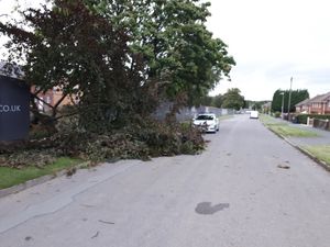 Supporting image for story: Tree blown down over road after heavy winds in Telford