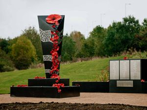 Supporting image for story: Plea to support Poppy Appeal after Telford war memorial vandalised