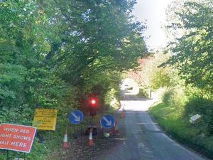 Supporting image for story: Telford road could close for almost two months as work to repair collapsed embankment gets underway
