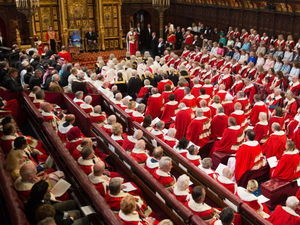 Supporting image for story: House of Lords still has a place if numbers cut and it’s non-political
