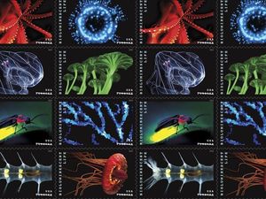 Supporting image for story: New stamps capture the magic of bioluminescent species using holographic material