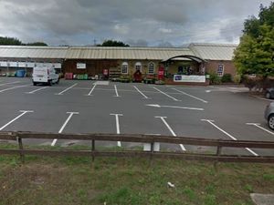 Supporting image for story: Car showroom plan set for approval