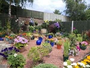 Members of Mary’s family with representatives from STAR with the memorial bench
