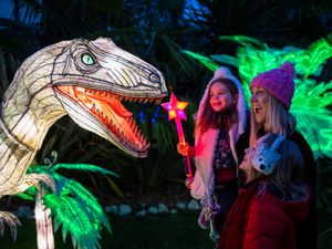 Supporting image for story: Lantern Festival brings magical sights to West Midland Safari Park