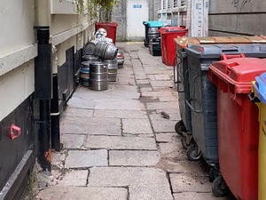 Supporting image for story: I visited ‘rat alley’ in city centre and found rodents crawling everywhere