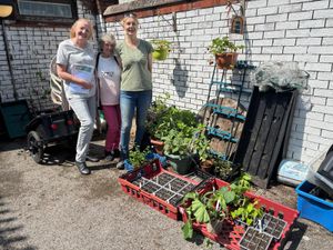 BOSF deliver food plants to community food growing group in Balaam's Wood
