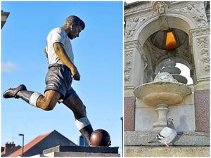 Supporting image for story: Stop the pigeon! People told not to feed birds damaging landmarks in the Black Country