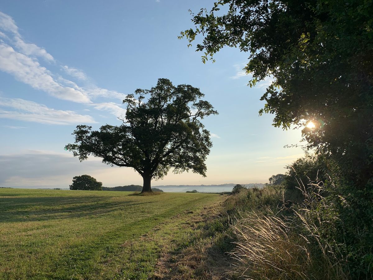 Shropshire becomes the &lsquo;perfect launchpad&rsquo; for AI innovation as businesses flock to Telford