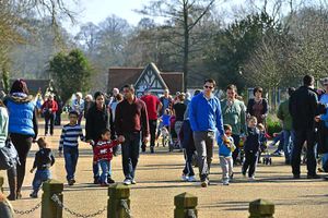 Supporting image for story: Tourist hotspot Ellesmere to get more security cameras after vandals hit buildings