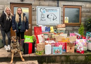 Presents delivered to Pawprints to Freedom.