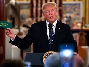 Supporting image for story