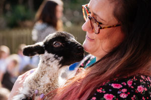 Mrs Nash gets up close and personal with a lamb