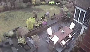 Barley caught on CCTV crawling across the garden