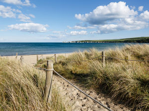 Supporting image for story: LETTER: Let’s create some summer memories