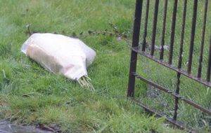 Flowers left at the scene