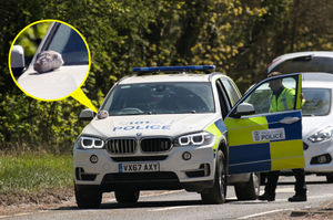 Police seemed to retrieve what appeared to be a rock from the scene. Pic: SnapperSK