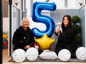 Supporting image for story: Award-winning dog hotel celebrates five years and 1,000 pampered pooches
