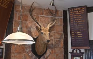 The Stag will revert to being a pub and function space ready to hire.