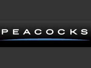 Supporting image for story: Jobs boost as Market Drayton Peacocks to reopen