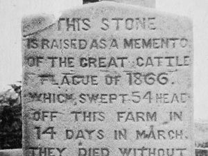 Supporting image for story: Tombstones remember cattle plague victims