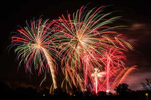 Supporting image for story: Fireworks fans flock to Midlands bonfire displays