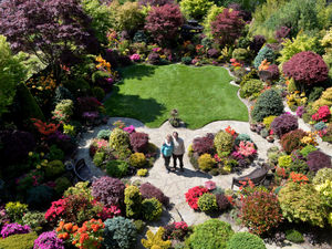Supporting image for story: Colour, craft and 3,000 plants: The incredible Walsall garden open to the public this weekend