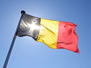Supporting image for story: Three Belgian soldiers injured in training exercise in Scotland