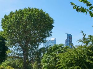 Trees and a park with buildings in the background