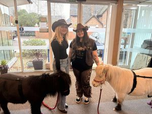 Pelsall Hall care staff and ponies 