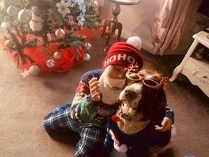 Supporting image for story: Retired police dog Sam finds his forever home and gains a new best friend